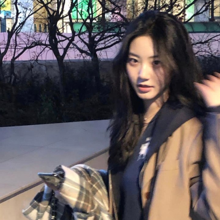 碧姬达蕙花