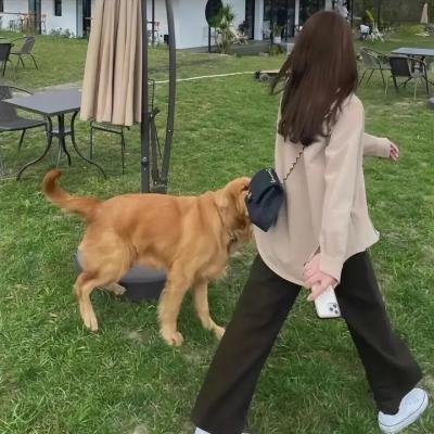 黑猫重案组